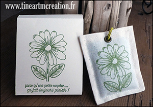 Pochette  printanière…