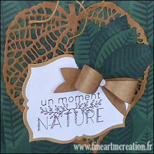 Le tourbillon des feuilles…