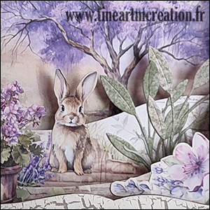 Le lapin dans son cadre 3D…